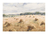 Maryland Wheat Fields By William Henry Holmes-3