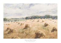 Maryland Wheat Fields By William Henry Holmes-1