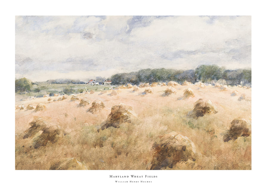 Maryland Wheat Fields By William Henry Holmes-12