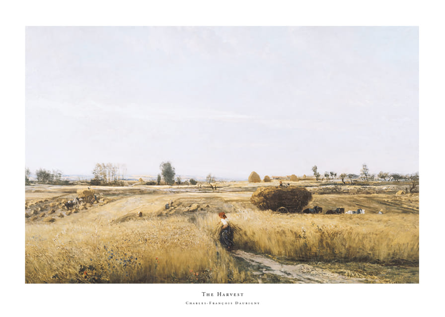 The Harvest By Charles-François Daubigny-12