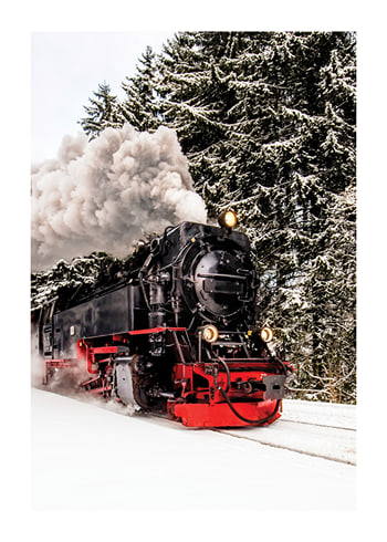 Plagát Winter Train
