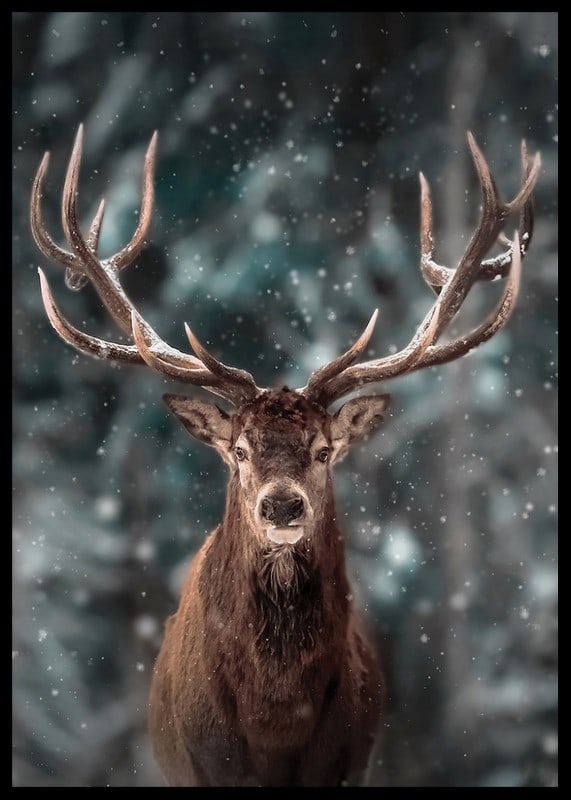 Red deer with big antlers in winter landscape with snowfall-12