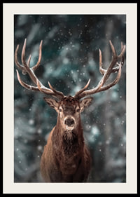 Red deer with big antlers in winter landscape with snowfall-2