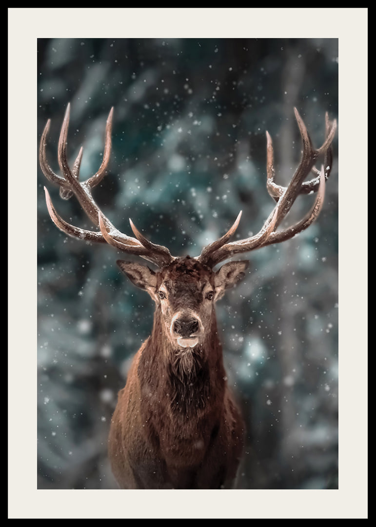 Red deer with big antlers in winter landscape with snowfall-12