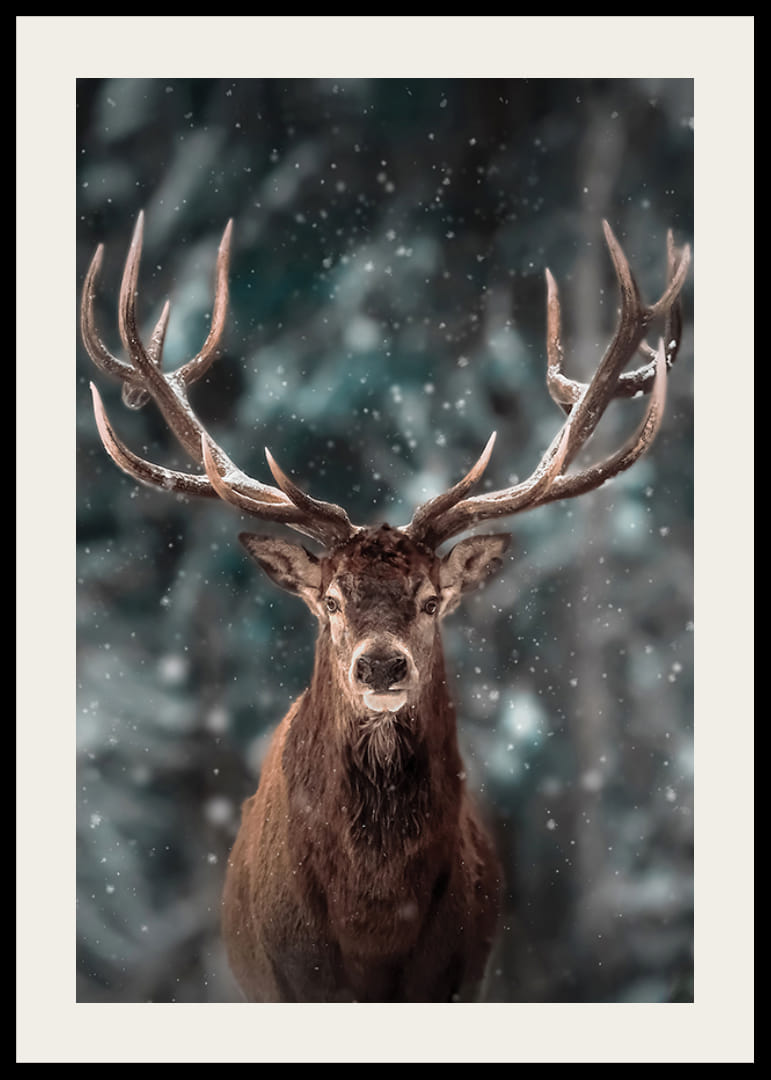 Rothirsch mit großem Geweih in Winterlandschaft mit Schneefall-12