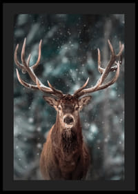 Rothirsch mit großem Geweih in Winterlandschaft mit Schneefall-4