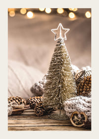 Miniatur-Weihnachtsbaum mit Sternspitze und Naturmaterialien-3