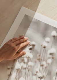 Photographic close-up of dried flowers covered in snow-9