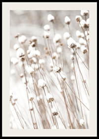 Photographic close-up of dried flowers covered in snow-2