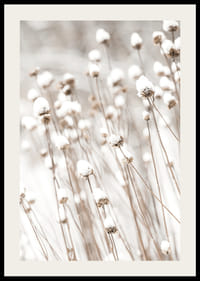 Primo piano fotografico di fiori secchi ricoperti di neve-2