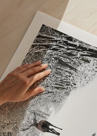 Photograph of deer on snow-covered forest road with white trees-9