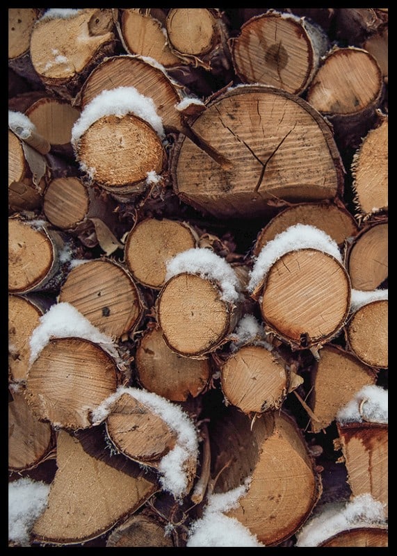 Close-up of stacked firewood with powdery snow, photographic-12