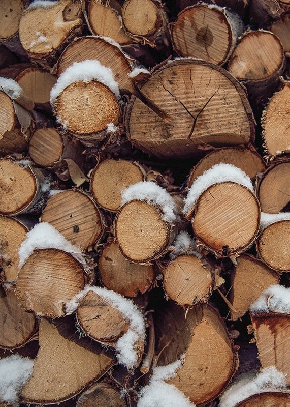 Close-up of stacked firewood with powdery snow, photographic-12