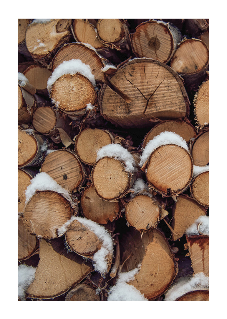 Close-up of stacked firewood with powdery snow, photographic-12