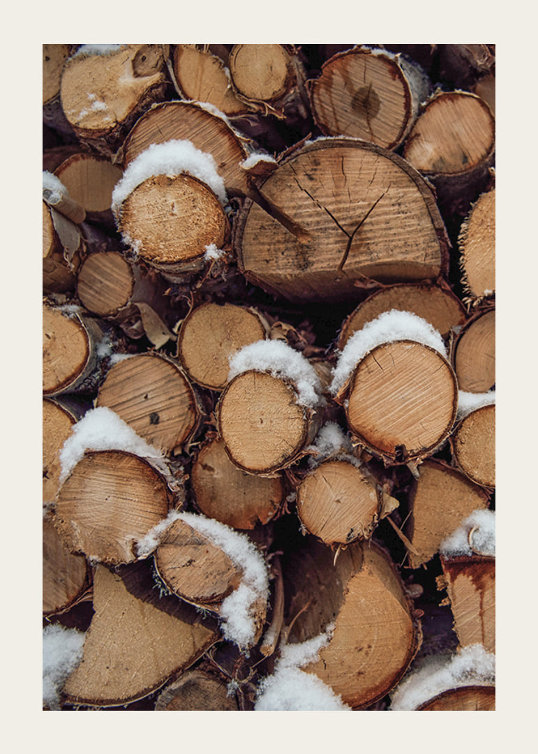 Close-up of stacked firewood with powdery snow, photographic-12