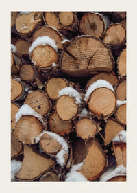 Close-up of stacked firewood with powdery snow, photographic-3