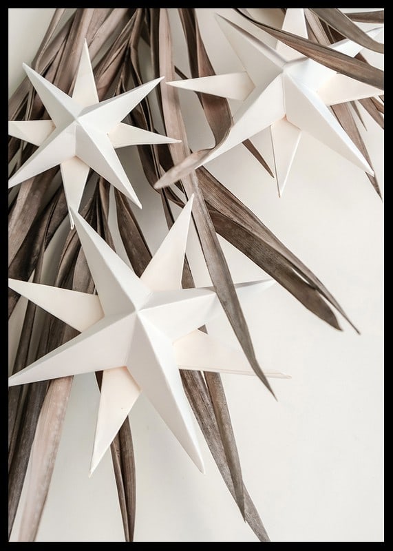 White paper stars against dried beige leaves, minimalist style-12