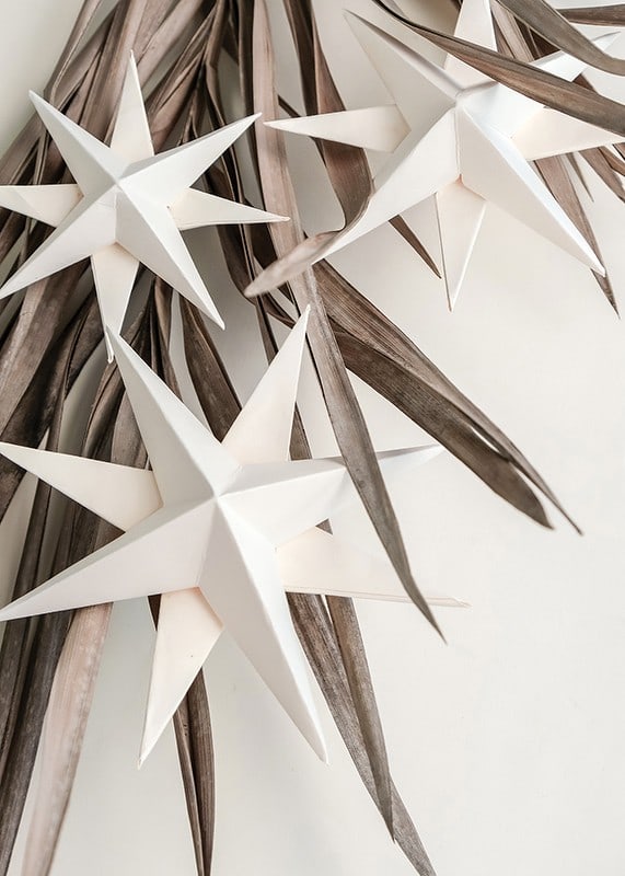 White paper stars against dried beige leaves, minimalist style-12