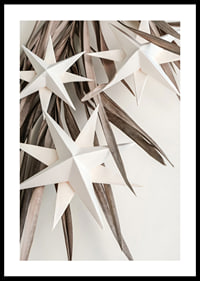 White paper stars against dried beige leaves, minimalist style-0