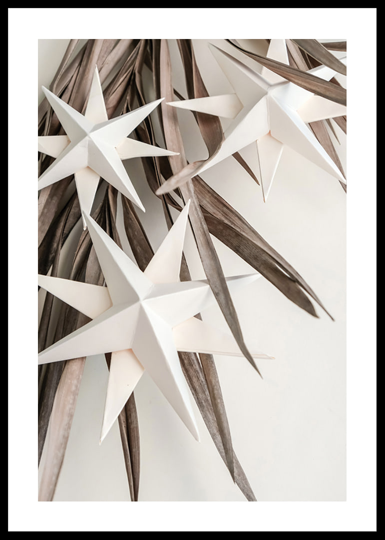 White paper stars against dried beige leaves, minimalist style-12