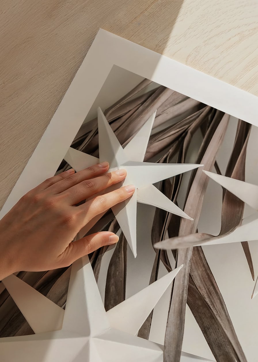 White paper stars against dried beige leaves, minimalist style-12