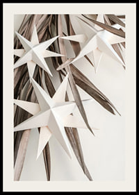 White paper stars against dried beige leaves, minimalist style-2