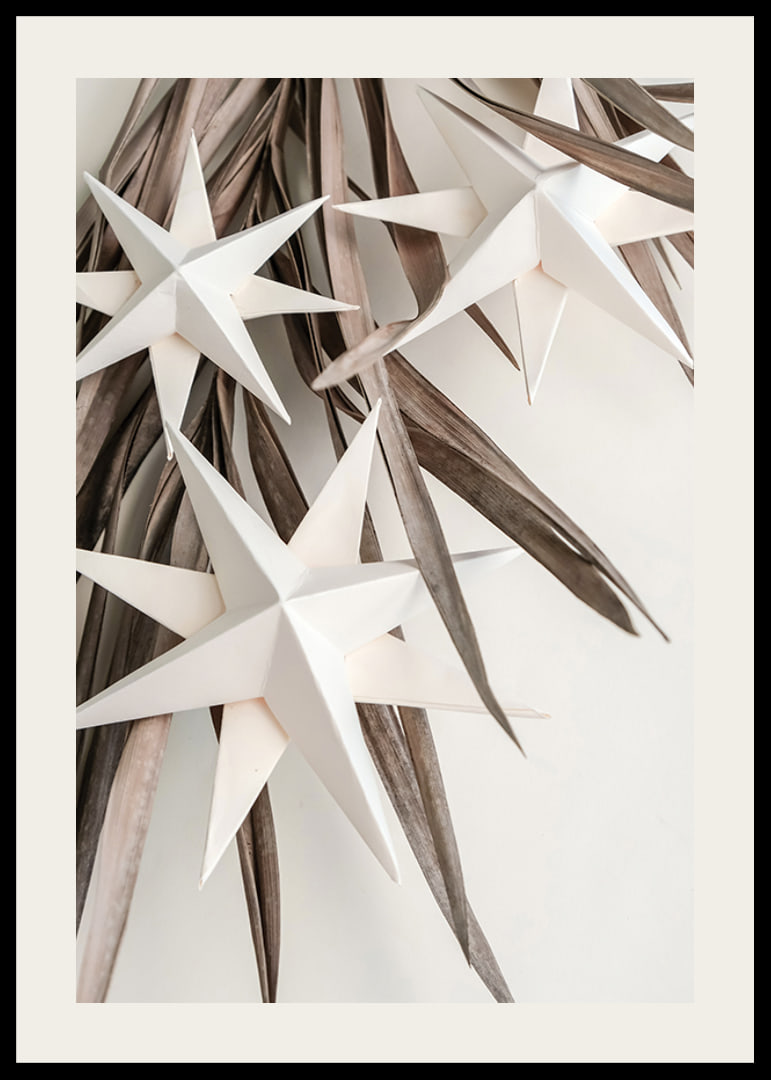 White paper stars against dried beige leaves, minimalist style-12