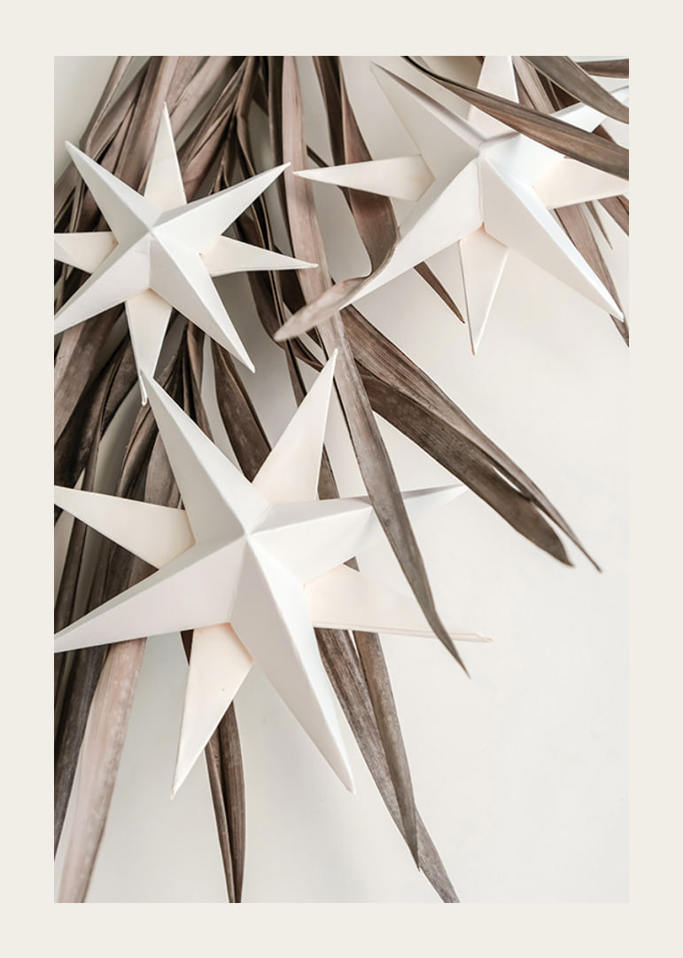 White paper stars against dried beige leaves, minimalist style-12