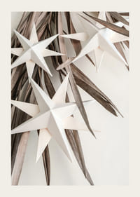 Hvite papirstjerner mot tørkede beige blader, minimalistisk stil-3