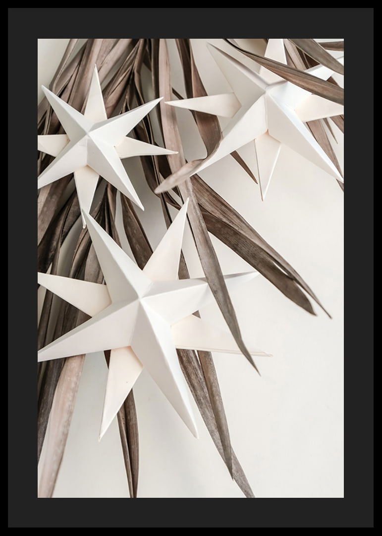 White paper stars against dried beige leaves, minimalist style-12