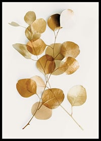 Minimalist eucalyptus branch with golden leaves against white background-6