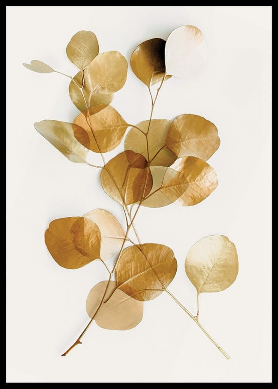 Minimalist eucalyptus branch with golden leaves against white background-12