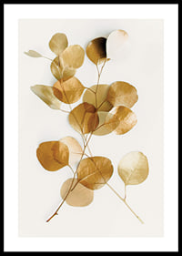 Minimalist eucalyptus branch with golden leaves against white background-0