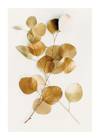 Poster Eucalyptus Gold No4