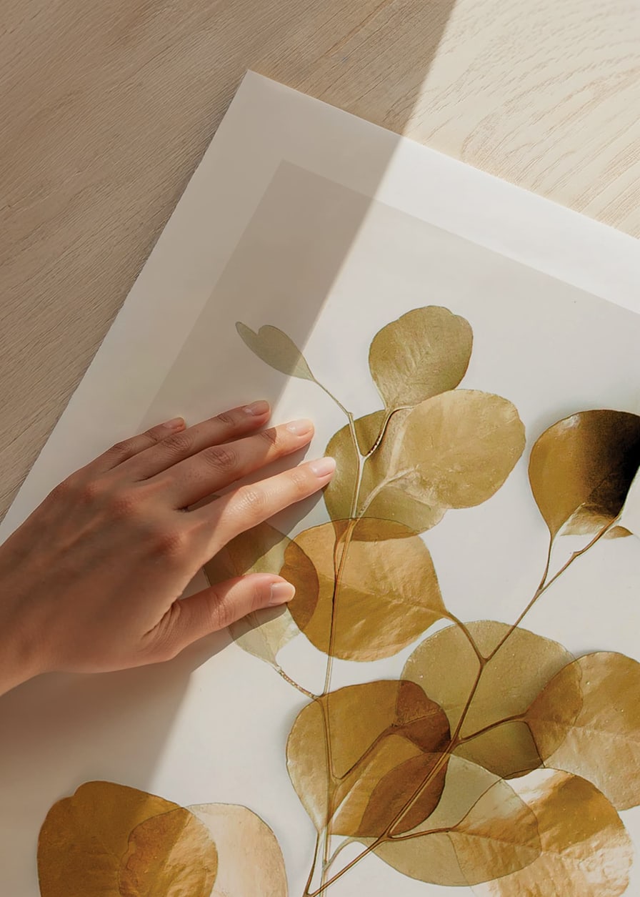 Minimalist eucalyptus branch with golden leaves against white background-12