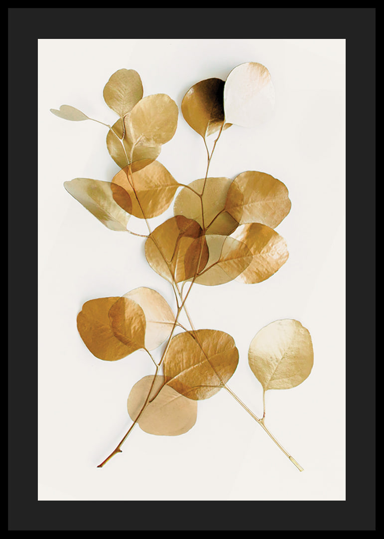Minimalist eucalyptus branch with golden leaves against white background-12
