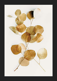 Minimalist eucalyptus branch with golden leaves against white background-5