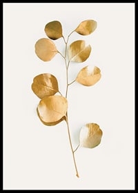 Abstract eucalyptus branch with gold colored leaves on white background-6