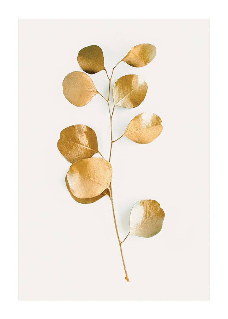 Abstract eucalyptus branch with gold colored leaves on white background-12