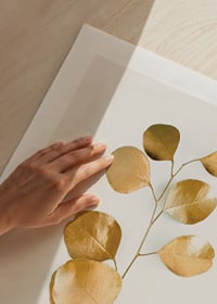 Abstract eucalyptus branch with gold colored leaves on white background-9