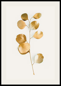 Abstrakt eukalyptusgren med guldfärgade blad på vit bakgrund-2