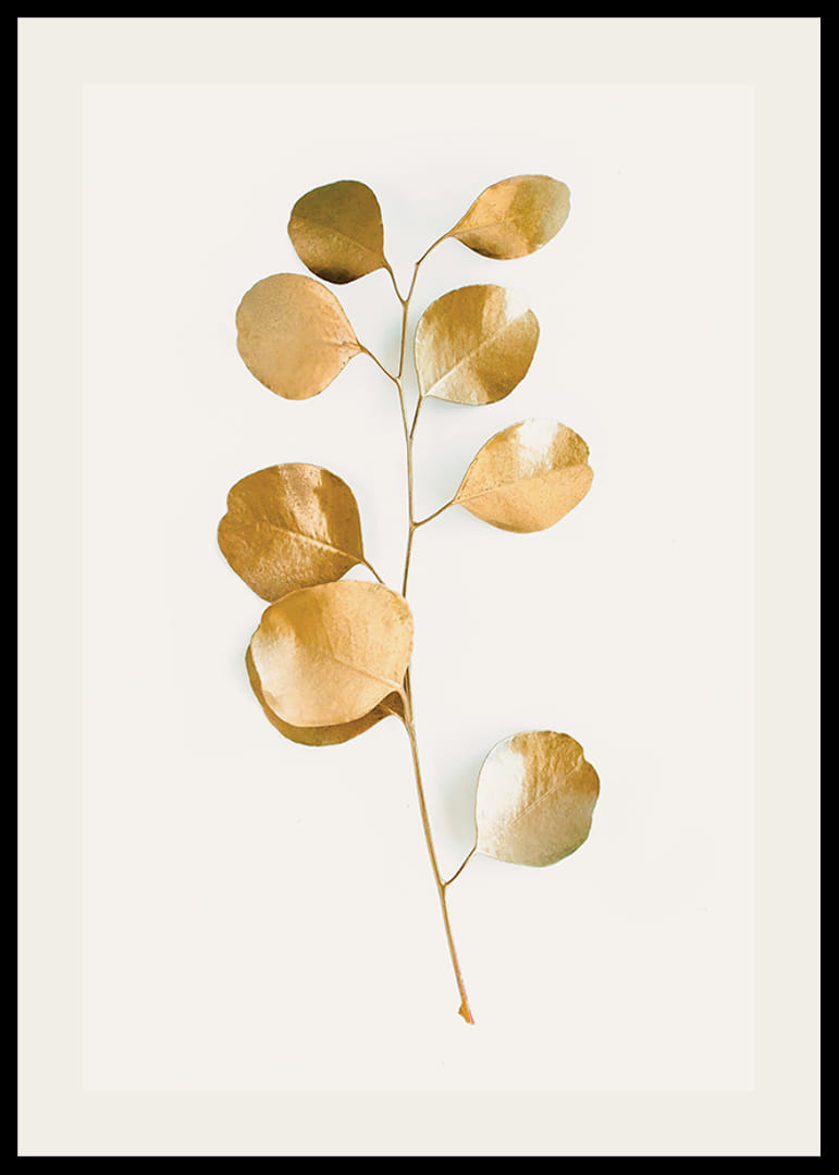 Abstrakt eukalyptusgren med guldfärgade blad på vit bakgrund-12