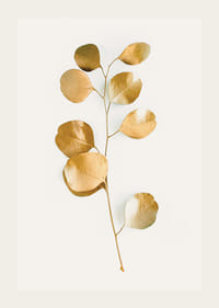 Abstrakt eukalyptusgren med guldfärgade blad på vit bakgrund-3