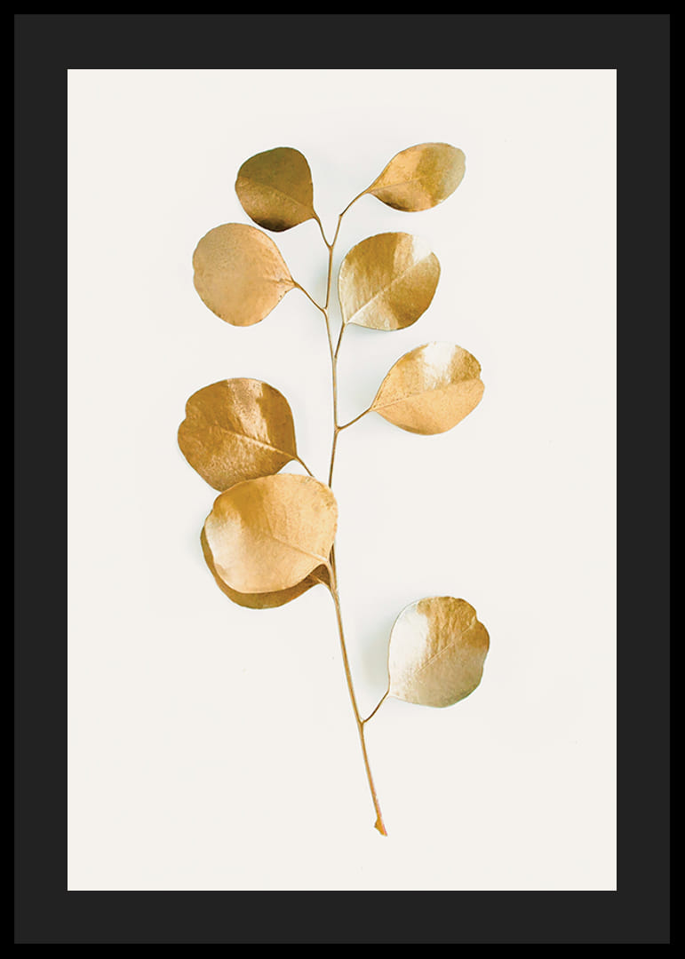 Abstrakt eukalyptusgren med guldfärgade blad på vit bakgrund-12