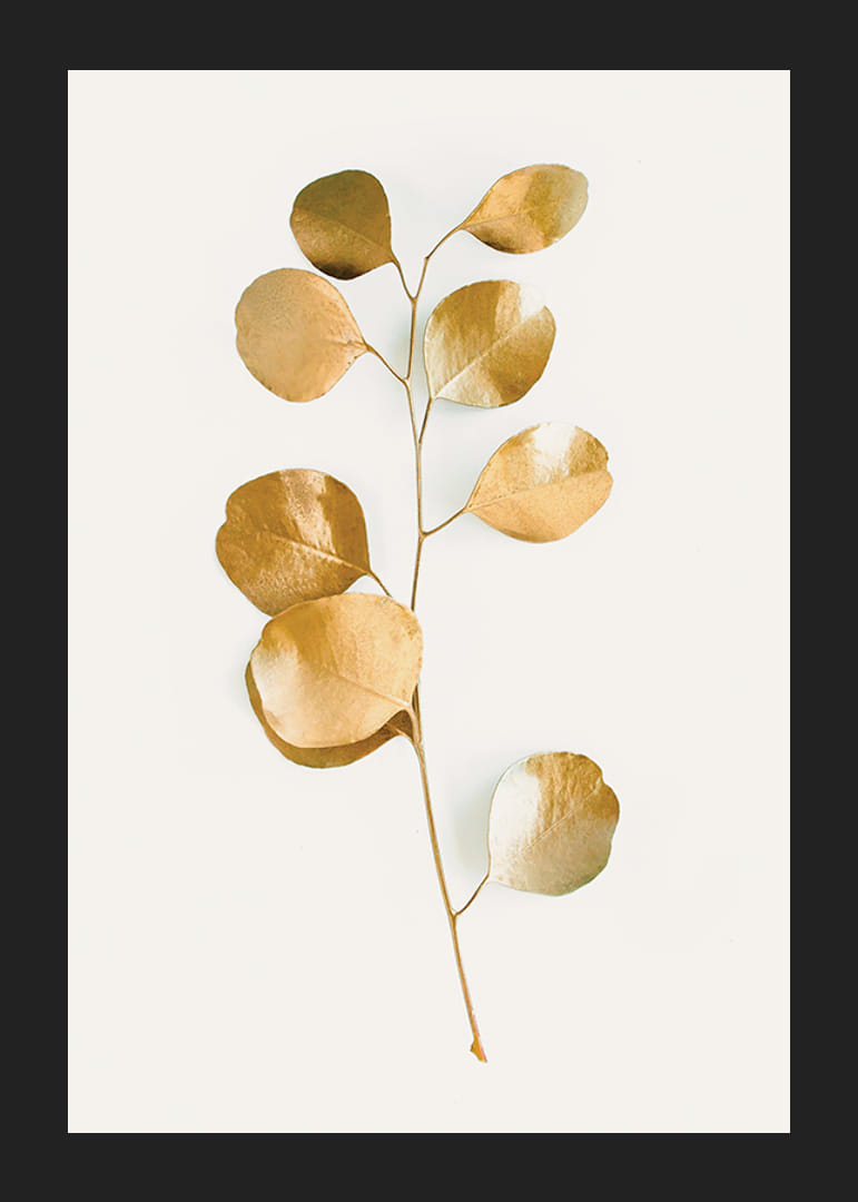 Abstrakt eukalyptusgren med guldfärgade blad på vit bakgrund-12