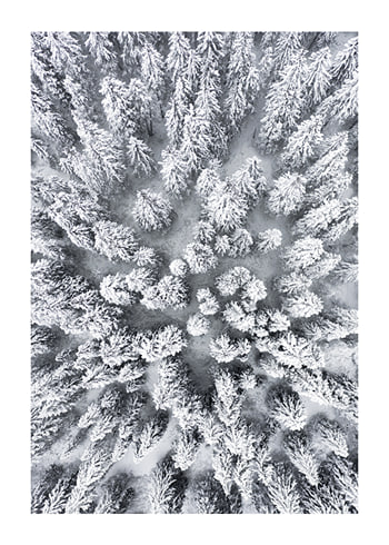 Poster Snow Forest Aerial