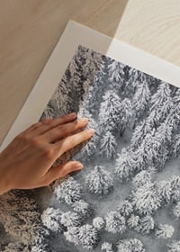 Aerial view of snow-covered spruce forest with densely standing treetops-9