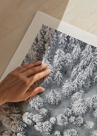Snow Forest Aerial-5