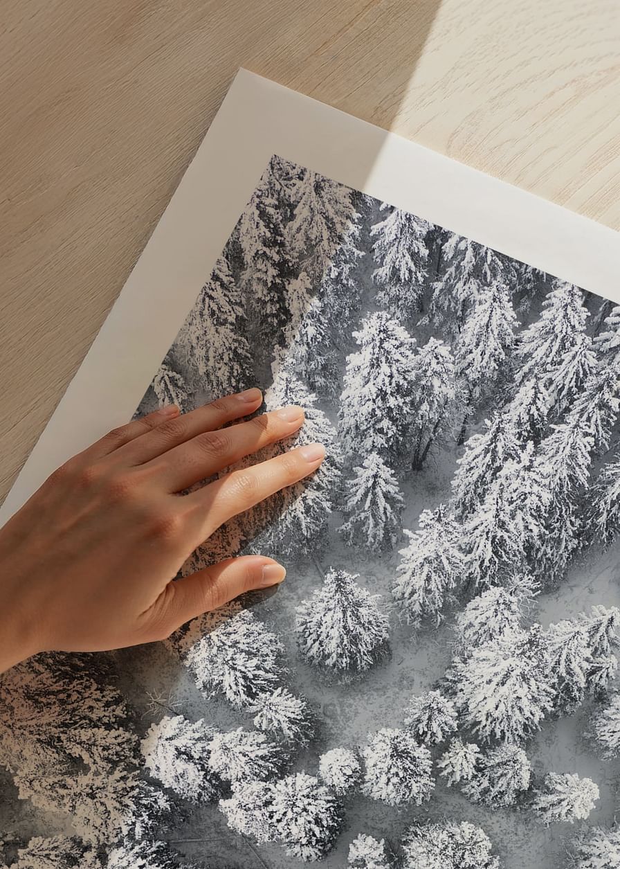 Snow Forest Aerial-12