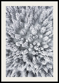 Aerial view of snow-covered spruce forest with densely standing treetops-2